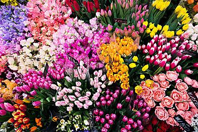 外媒评值得期待的17款Xbox独占游戏 《上古卷轴6》等